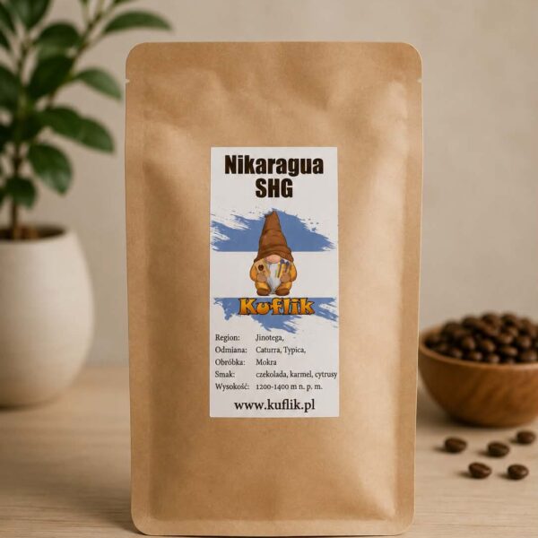 Nikaragua SHG